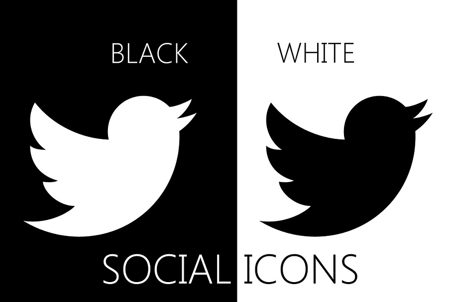 30 Social Icons -black and white in Black And White Icons - product preview 8
