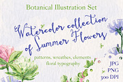 watercolor summer flowers collection