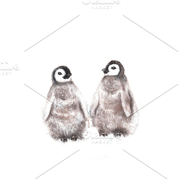 Watercolor illustration of penguins in Illustrations - product preview 1