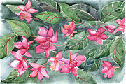 Watercolor pink flowers background