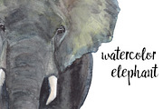 Watercolor elephant
