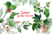 Watercolor garden berries
