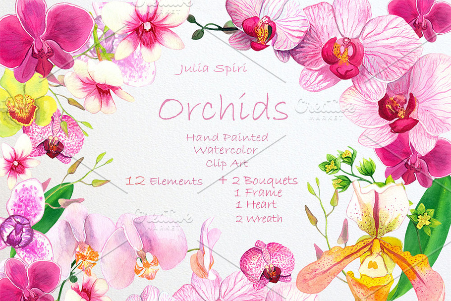 Orchids Watercolor Clip Art in Illustrations - product preview 8
