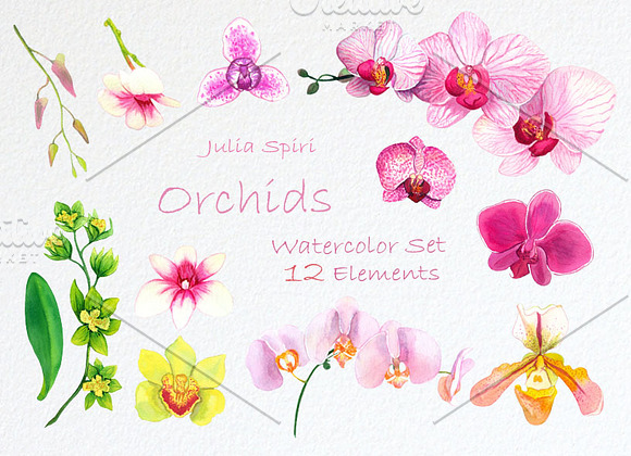 Orchids Watercolor Clip Art in Illustrations - product preview 3