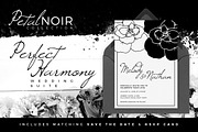 Petal Noir - Perfect Harmony