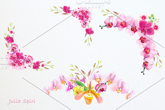 Orchids Watercolor Clip Art in Illustrations - product preview 4