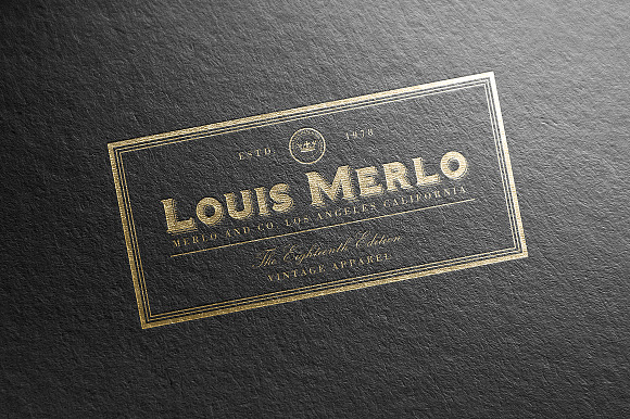 Vintage Labels & Logos Vol.4 in Logo Templates - product preview 2