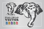 Elephant Hand Drawn Illustration