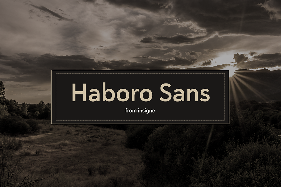 Haboro Sans in Sans-Serif Fonts - product preview 8