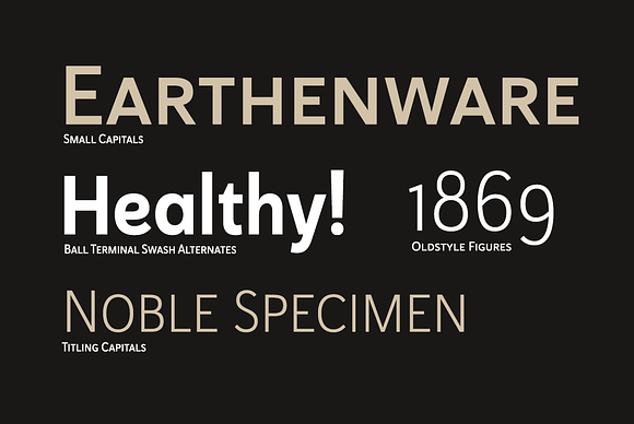Haboro Sans in Sans-Serif Fonts - product preview 1