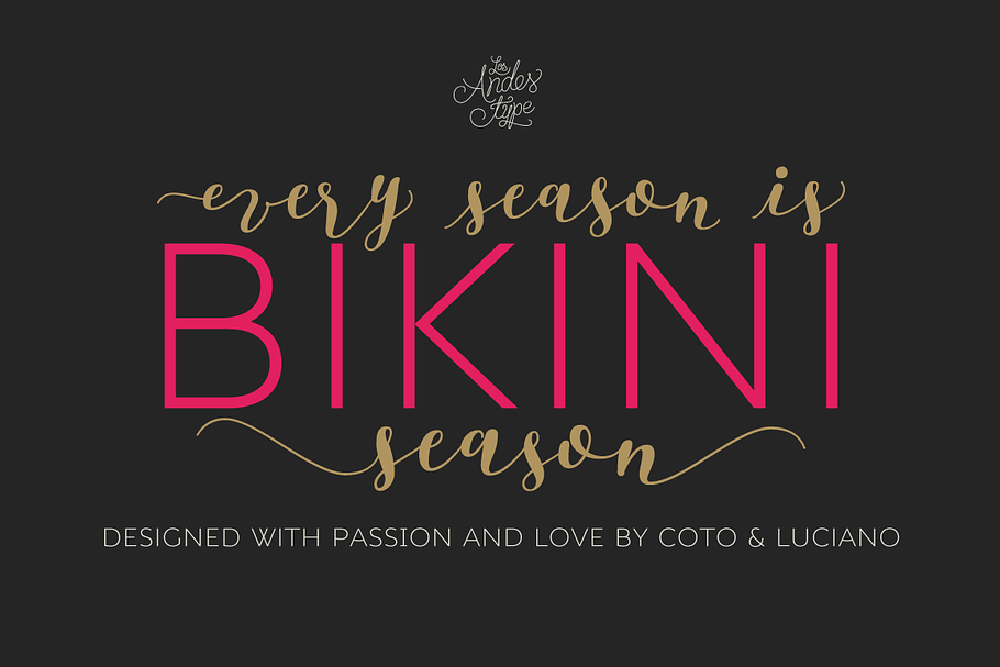 Bikini Season in Script Fonts - product preview 8