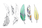 8 hand drawn watercolor feathers