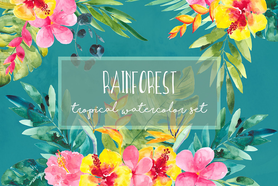 Rainforest in Illustrations - product preview 8