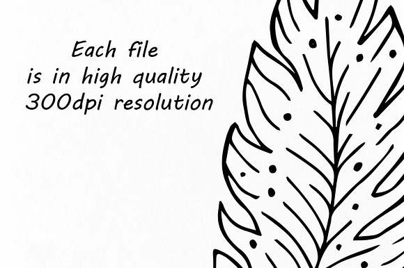 Hand Drawn Feathers Clipart in Illustrations - product preview 1
