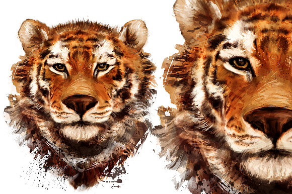 Set tiger portraits .4 styles in Illustrations - product preview 4