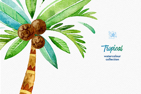 Tropical. Watercolour collection in Illustrations - product preview 2