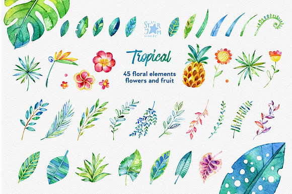 Tropical. Watercolour collection in Illustrations - product preview 3