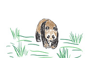 panda bear, sketch style