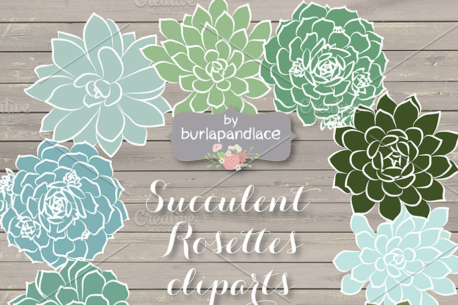 Succulent Rosettes in Illustrations - product preview 8