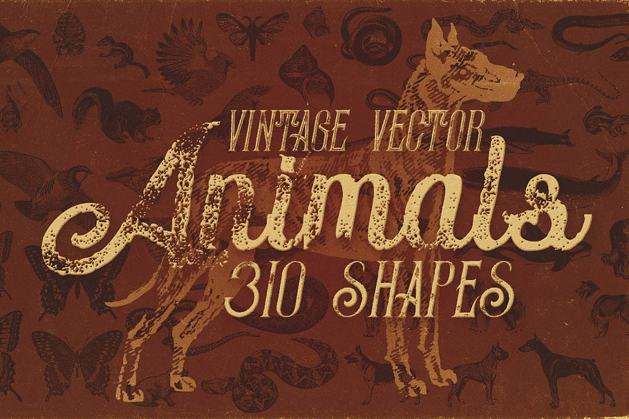 Vintage Animals Vectors in Illustrations - product preview 8