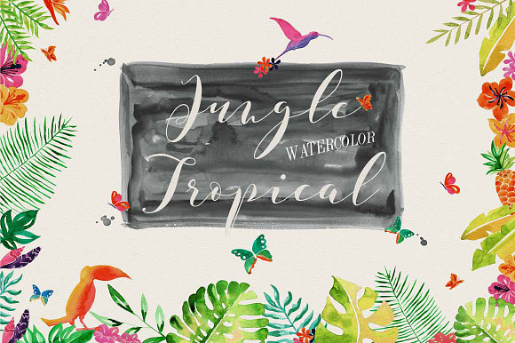 Jungle Tropical in Illustrations - product preview 1