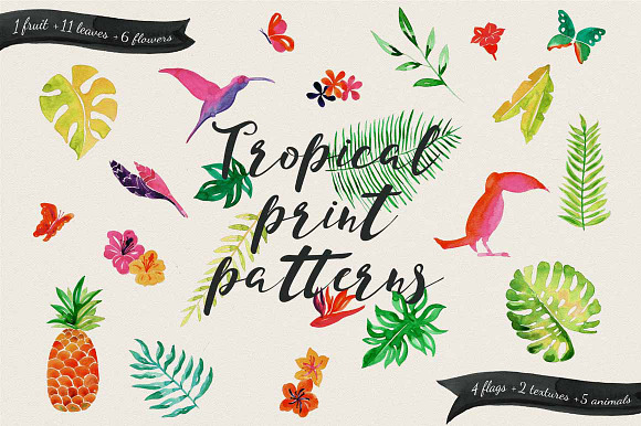 Jungle Tropical in Illustrations - product preview 2