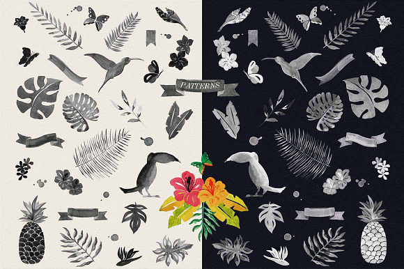 Jungle Tropical in Illustrations - product preview 4
