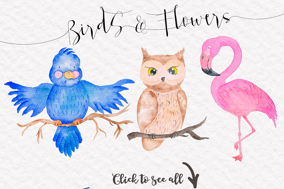 Cute Birds Watercolor Set | Custom-Designed Illustrations ~ Creative Market