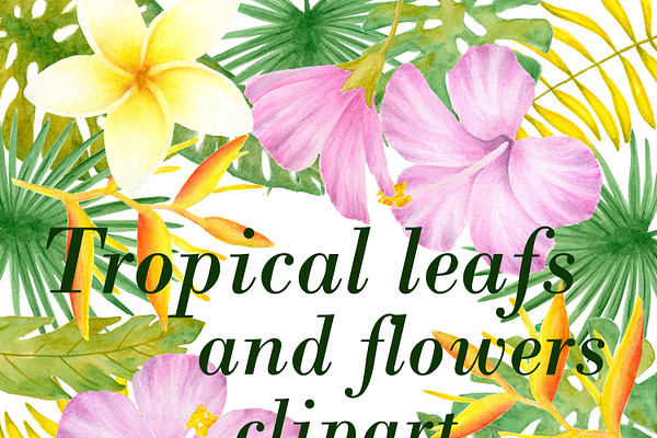 Tropical flower clipart and patterns