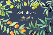 Olive set. Watercolor сollection.