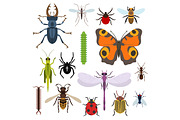 Insects set of icons from