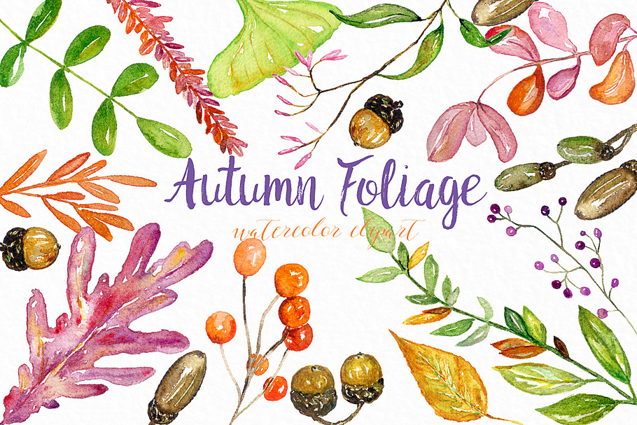 Autumn foliage. watercolor clipart.