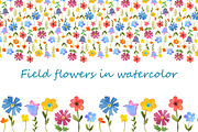 Field flowers in watercolor