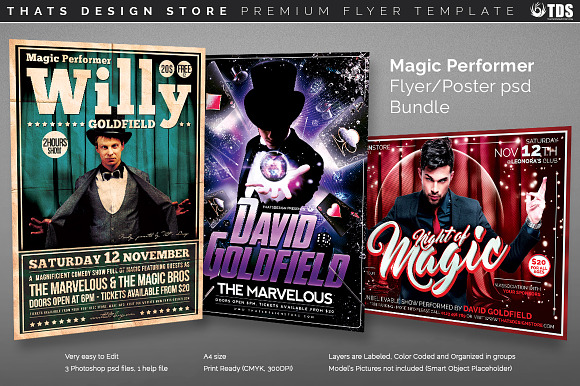 Magic Performer Flyer Bundle in Flyer Templates - product preview 7