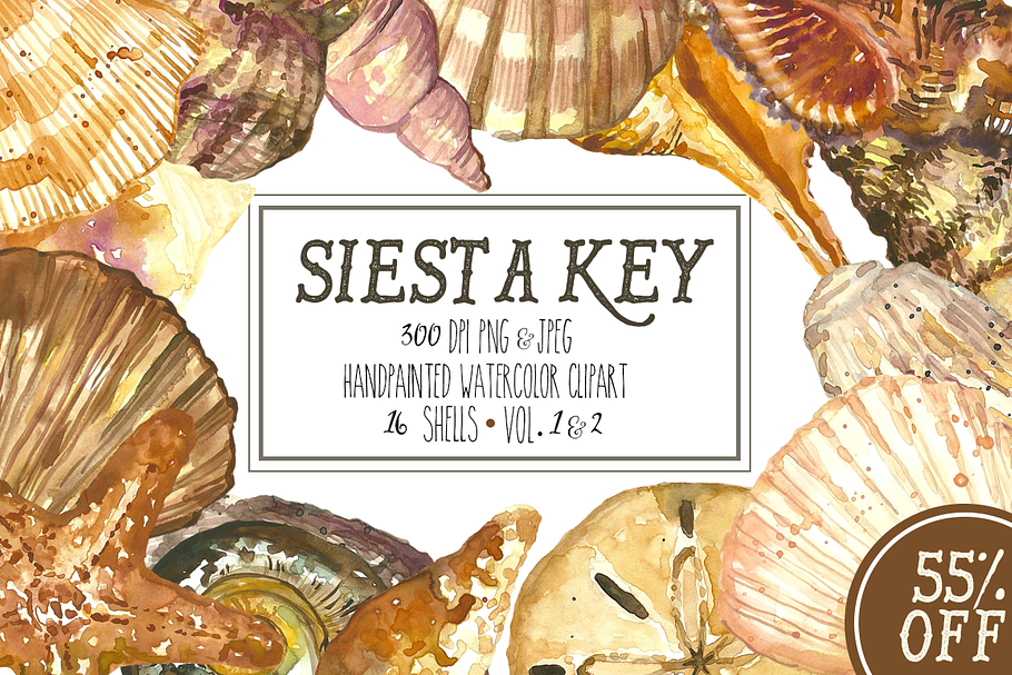 Siesta Key Watercolor Seashells