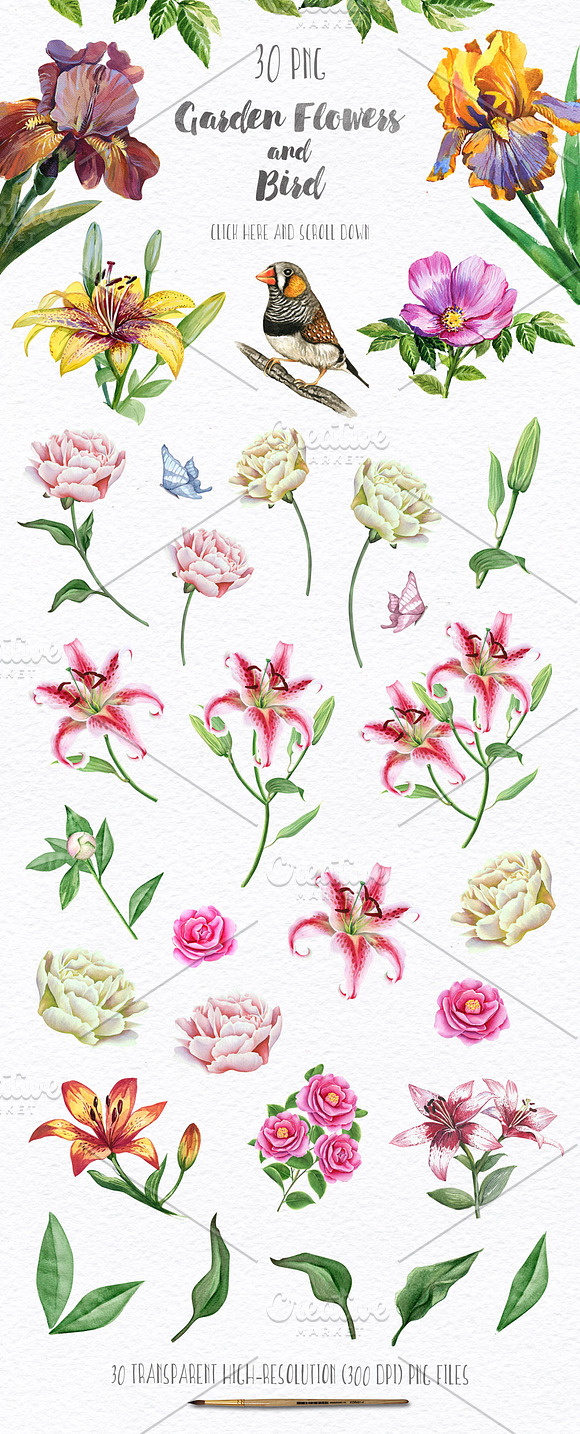 70% OFF! Floral set. Over 115 PNG in Illustrations - product preview 2