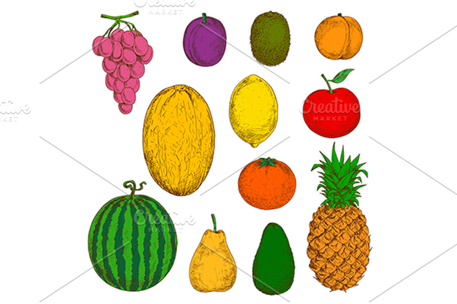 Fruits sketches set in Graphics - product preview 8