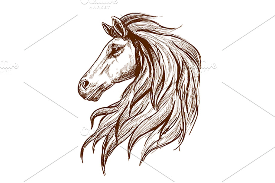 Gorgeous arabian racehorse in Graphics - product preview 8