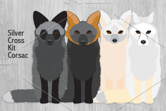 Fox Illustrations - Woodland Animals in Illustrations - product preview 2