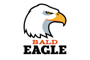 Bald Eagle -Logo Template