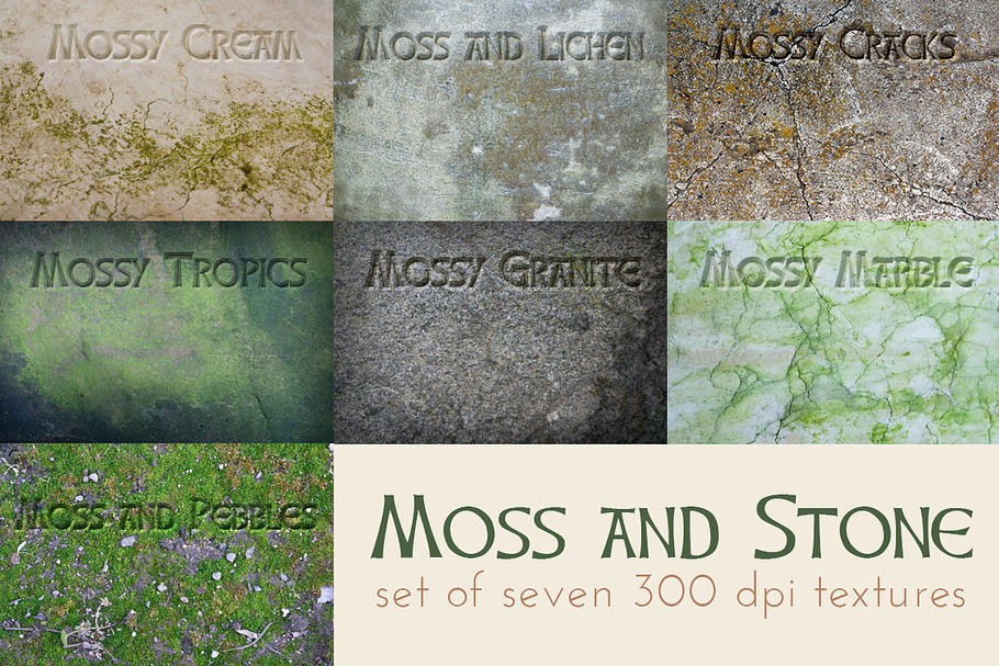 Moss and Stone textures