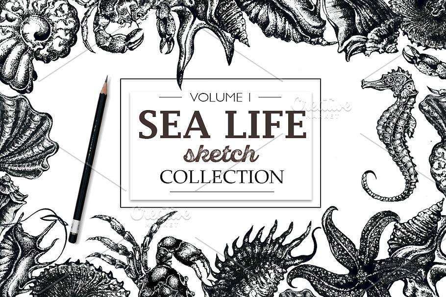 Sea life sketch collection