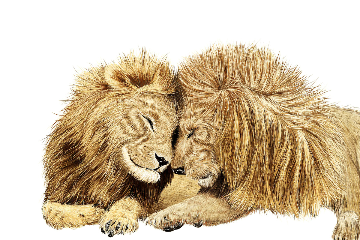 Lion Couple in Illustrations - product preview 8