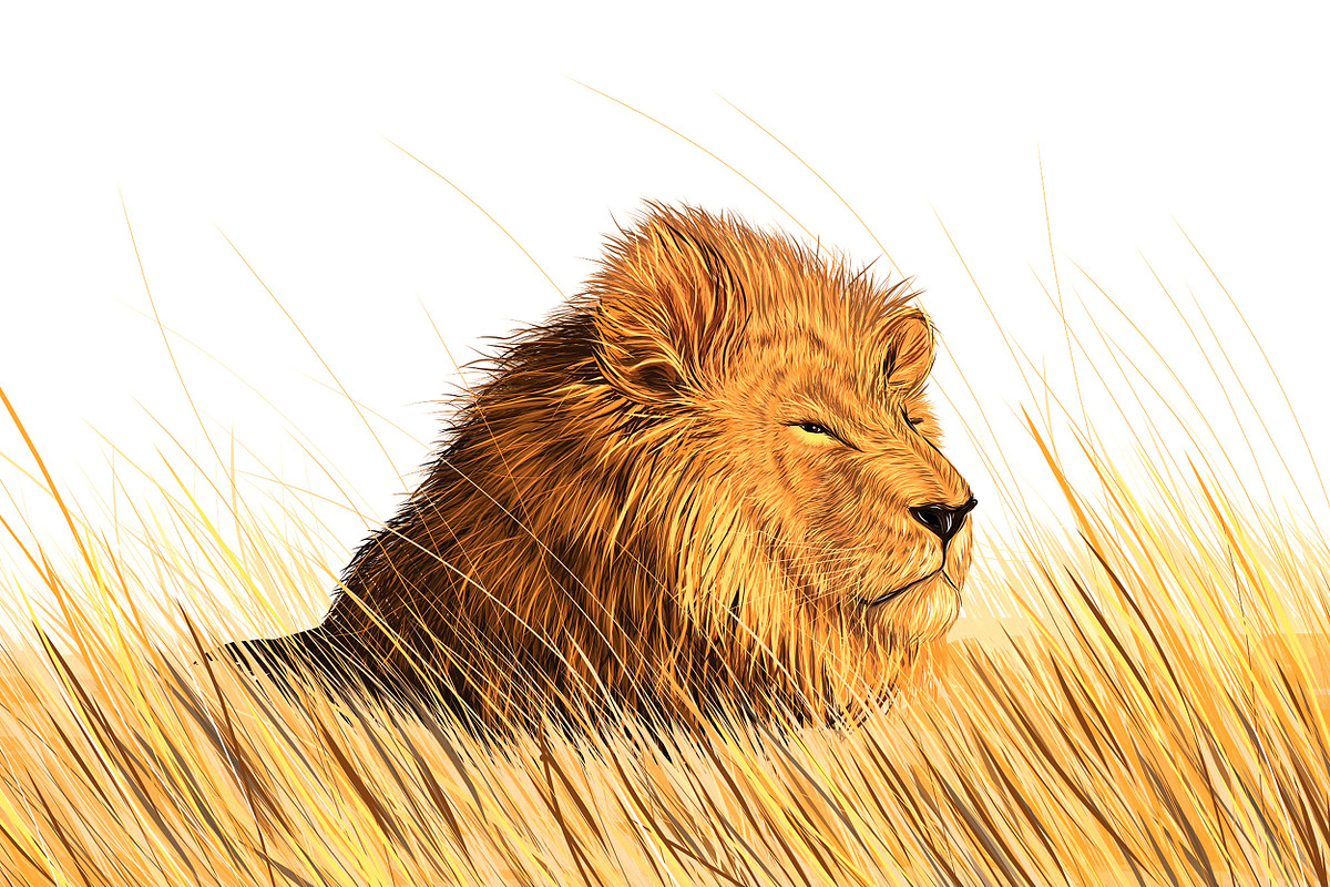 Lion in the meadow in Illustrations - product preview 8