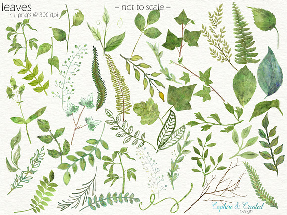 190 Floral & Leaves Bundle in Objects - product preview 2