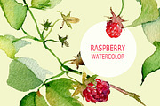 Raspberries isolated & 2 patterns