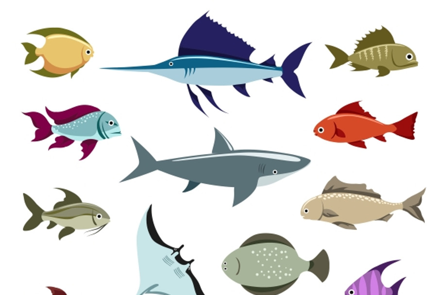 Colored fish vector icons in Graphics - product preview 8