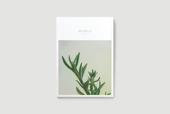 NATURALIS Lookbook / Magazine in Magazine Templates - product preview 4