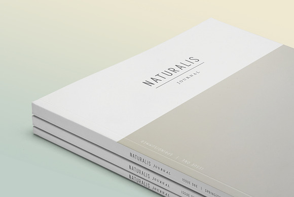 NATURALIS Lookbook / Magazine in Magazine Templates - product preview 5
