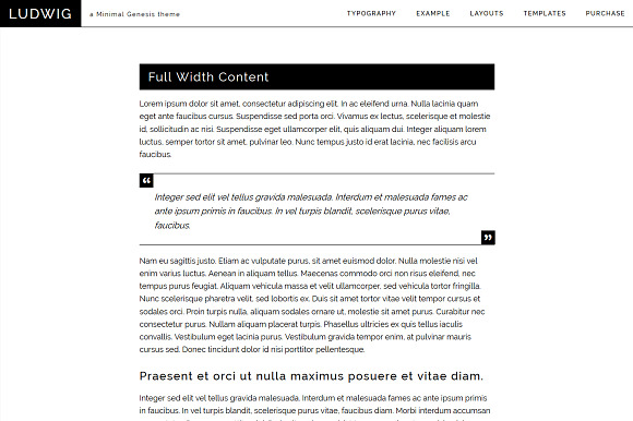 Ludwig - Minimal Genesis Theme in WordPress Minimal Themes - product preview 2